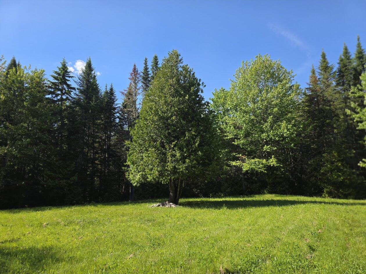 Lot 10 Davis Brook Road Amity, ME 04471 - Photo 4 of 12 20260609_160414