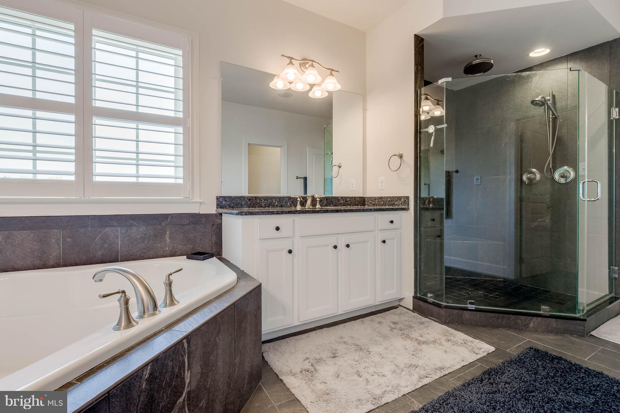 3706 Waterford Mill Road Bowie, MD 20721 - Photo 17 of 35 Soaking Tub and Shower