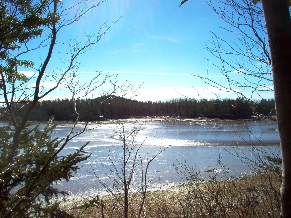 153 County Road Perry, ME 04667 - Photo 5 of 13 Photo