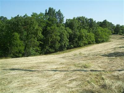 1185 Clarks Creek(parcel 2) Road Dry Ridge, KY 41035 - Photo 3 of 8