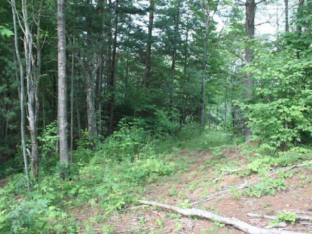 0 Richlen Ridge, Unit 13 Morganton, GA 30560 - Photo 1 of 1 Gallery Image 1