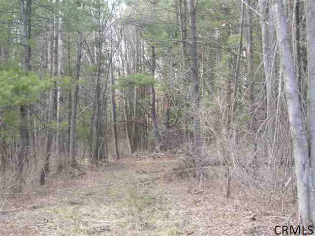 759 Hardin Road Delanson, NY 12053 - Photo 11 of 15 Photo 11