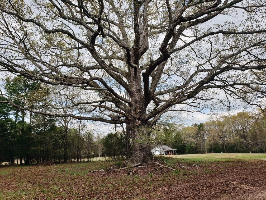 254 Erwin Mill Road Honea Path, SC 29654 - Photo 26 of 27 Gallery Image 26