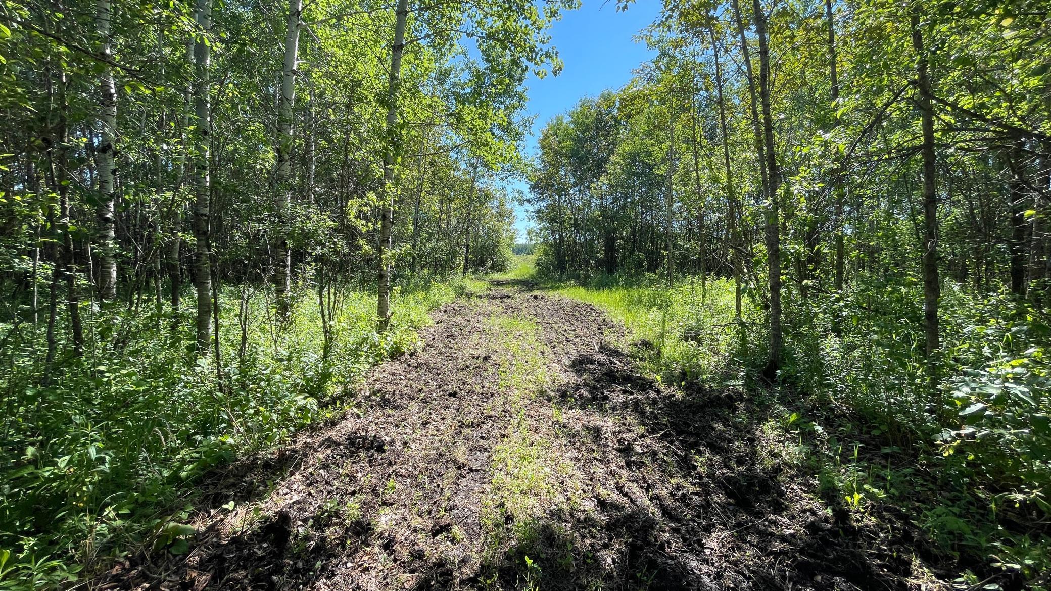Tbd 440th Avenue Roseau, MN 56751 - Photo 48 of 80