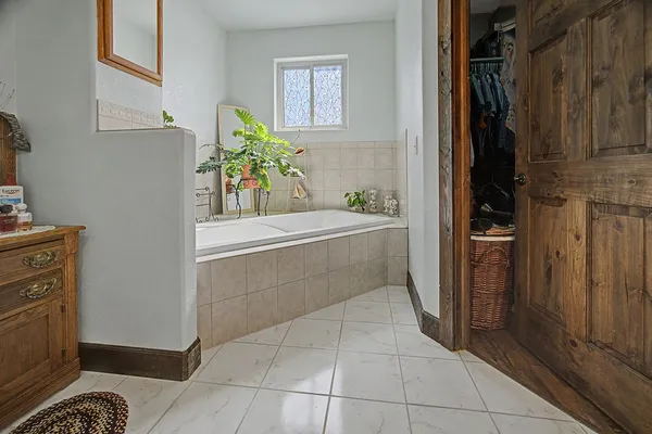 a bathroom with a sink a mirror and a potted plant