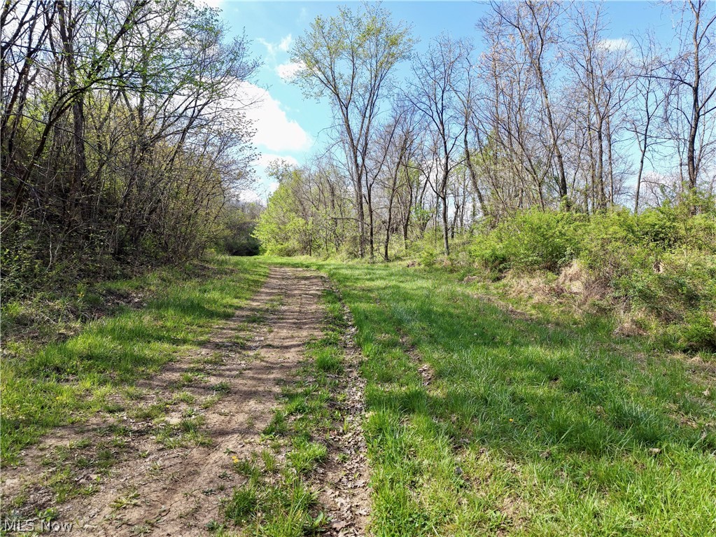 0 Harrons Ridge Road Dexter City, OH 45727 - Photo 17 of 29