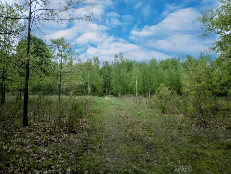 58-acres Northeast County Line Road Coleman, MI 48618 - Photo 12 of 45