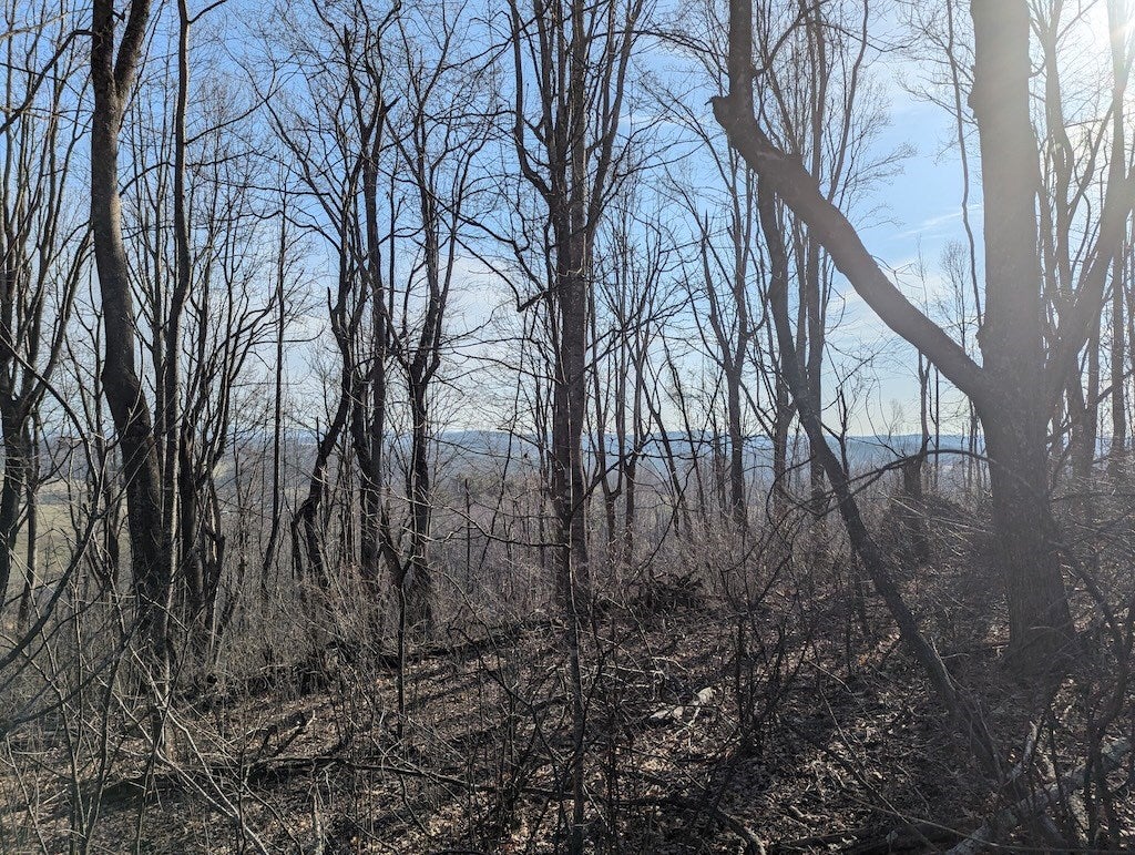 Tbd Coles Knob Road Northeast Pilot, VA 24138 - Photo 15 of 25 Gallery Image 15