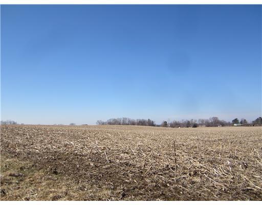 925 East Blee Road Springfield, OH 45502 - Photo 7 of 15