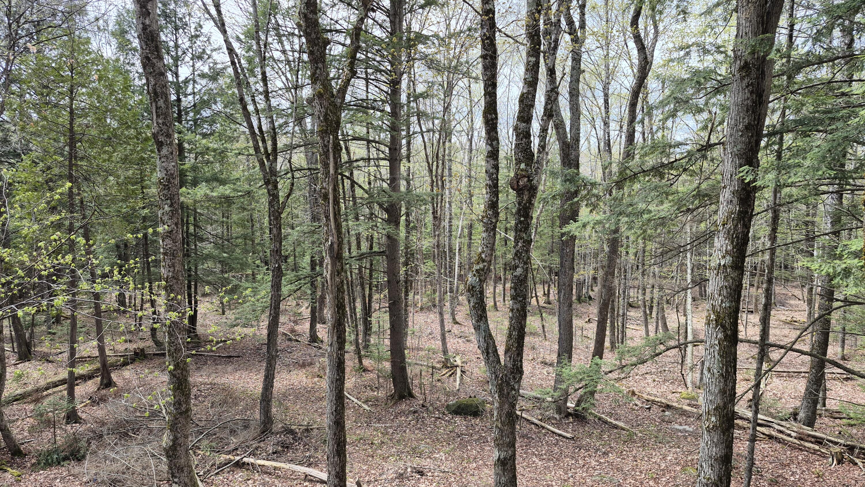 Lot 29 A Hill Road Clinton, ME 04927 - Photo 20 of 27 20 view from cabin