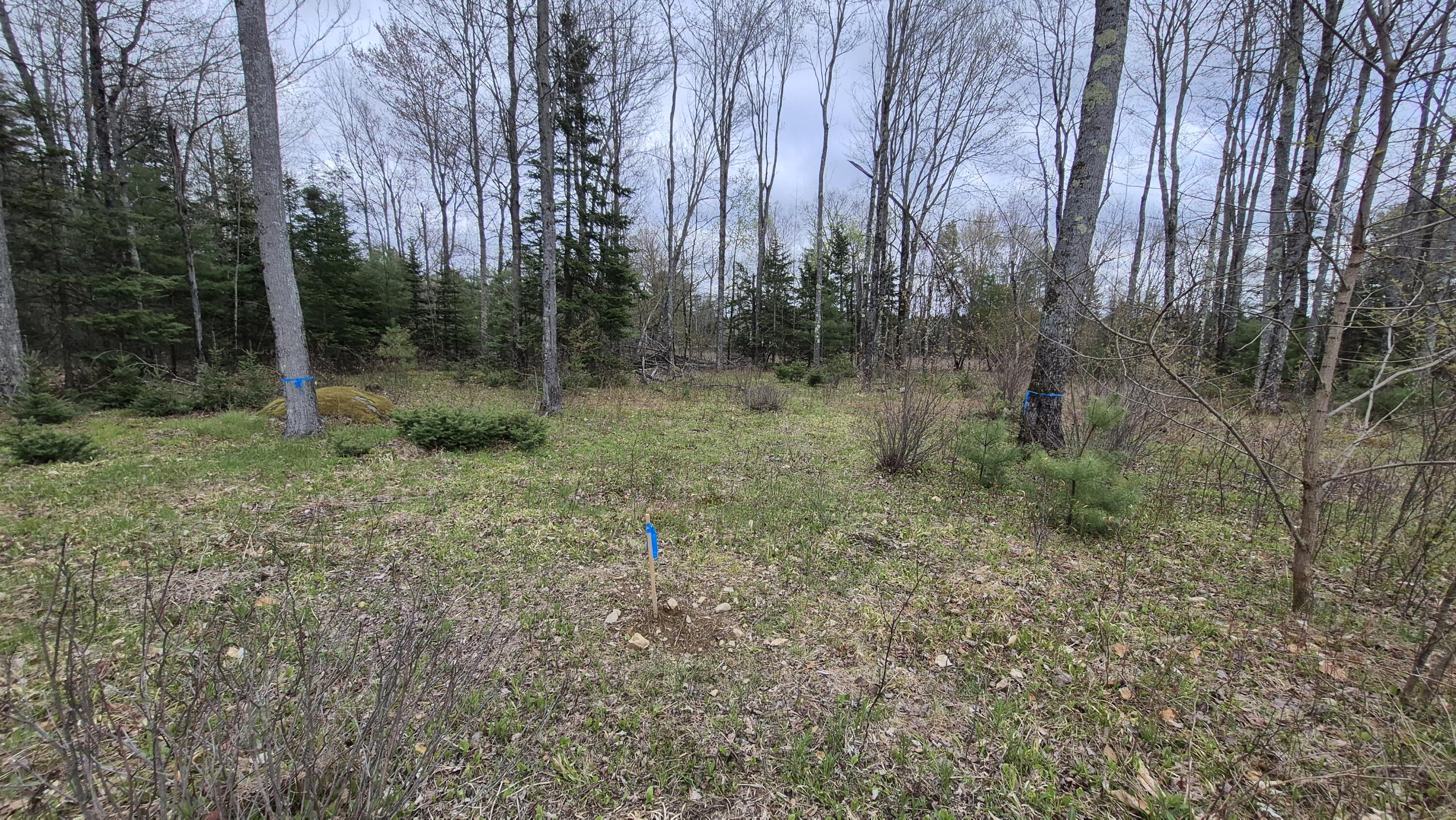 Lot 29 A Hill Road Clinton, ME 04927 - Photo 2 of 27 2 soil test staked out