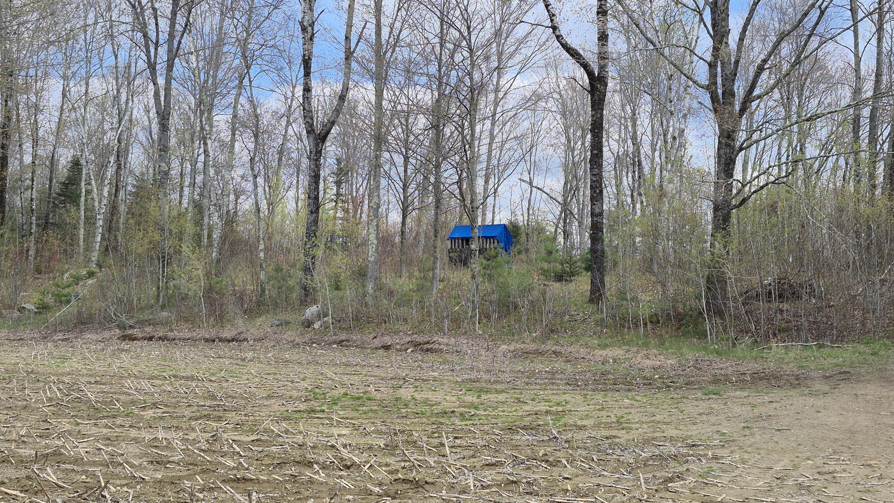 Lot 29 A Hill Road Clinton, ME 04927 - Photo 25 of 27 25 another blind
