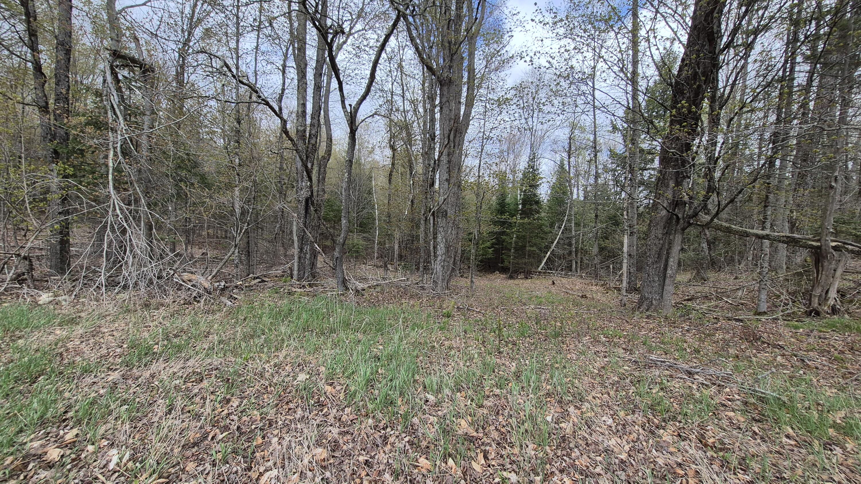 Lot 29 A Hill Road Clinton, ME 04927 - Photo 5 of 27 5
