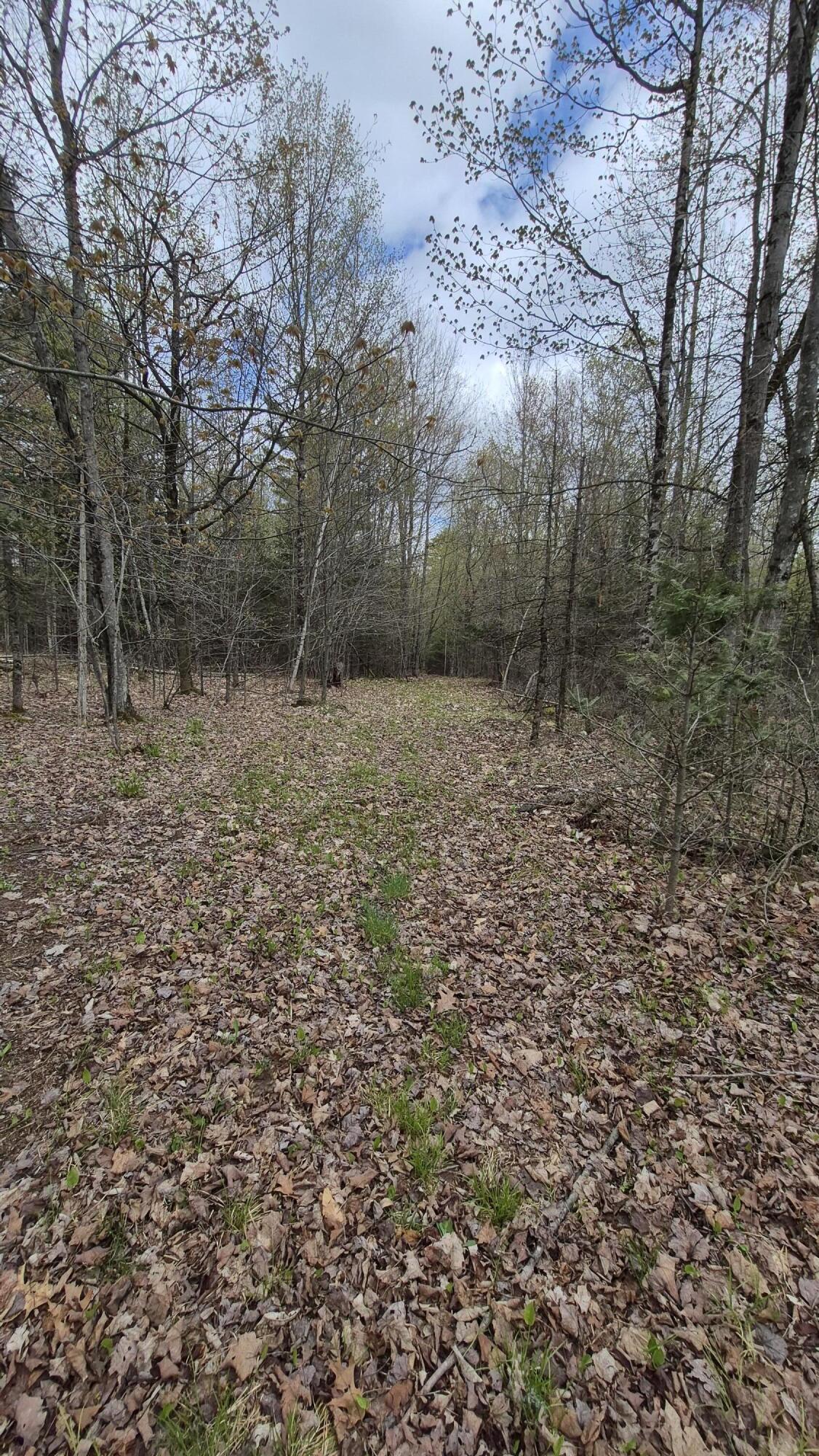 Lot 29 A Hill Road Clinton, ME 04927 - Photo 6 of 27 6