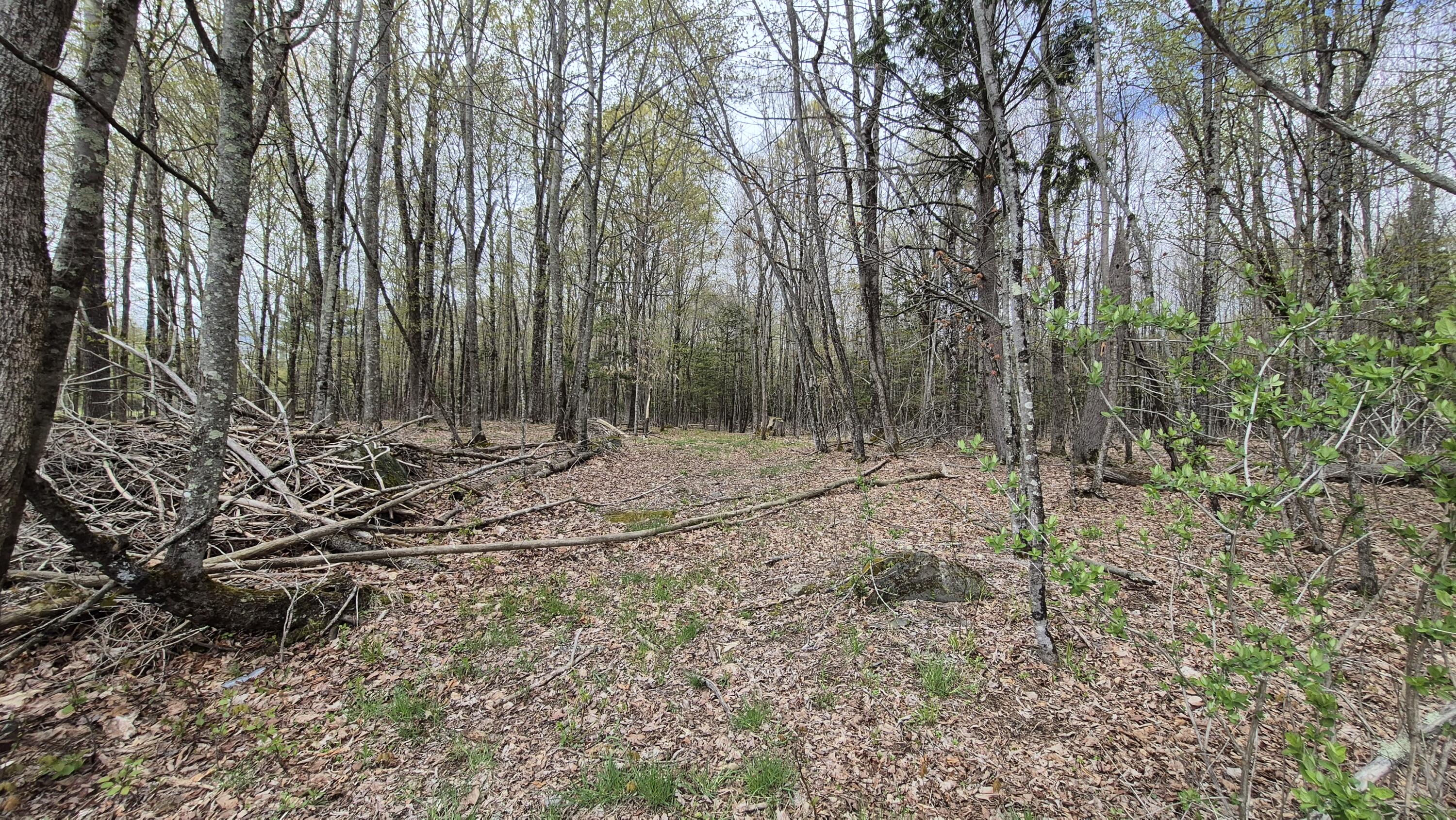 Lot 29 A Hill Road Clinton, ME 04927 - Photo 7 of 27 7