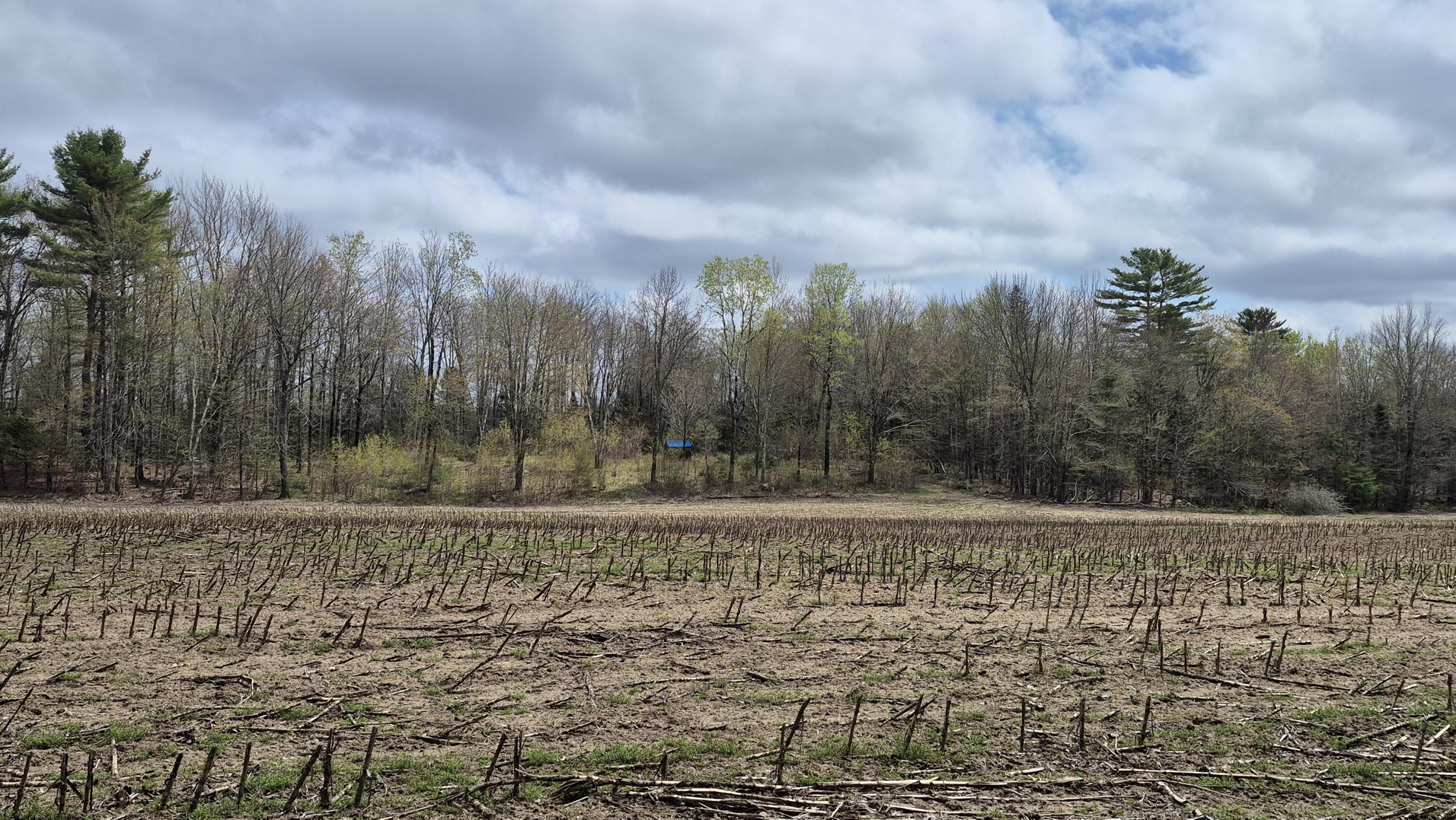 Lot 29 A Hill Road Clinton, ME 04927 - Photo 8 of 27 8