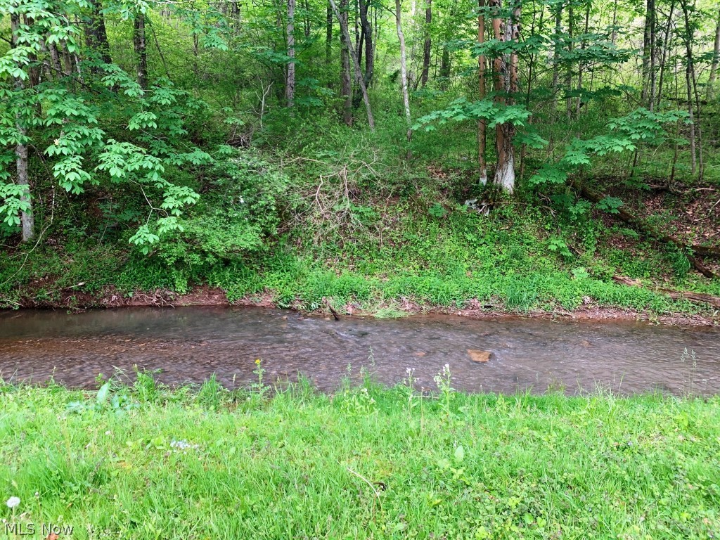 250 Radabaugh Road Marietta, OH 45750 - Photo 9 of 28 Creek in Backyard