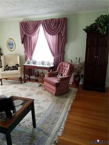 a living room with furniture a rug and a window
