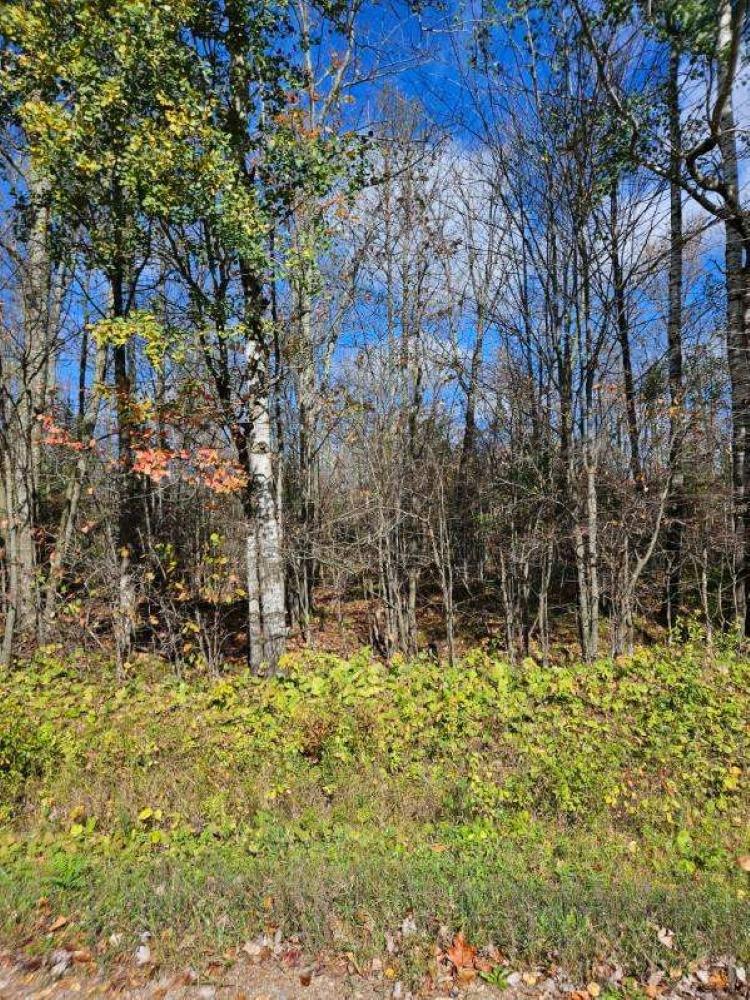 0 Lloyd Creek Road Deerbrook, WI 54424 - Photo 2 of 4 Gallery Image 2