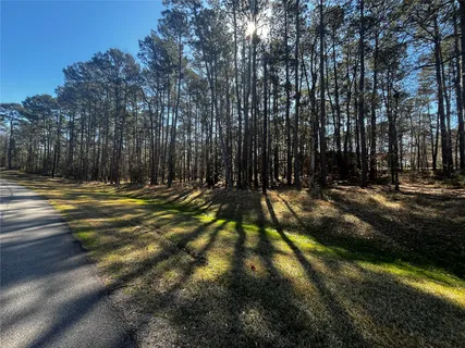 $82,000 | 26 Altwood Drive, Coldspring, TX 77331