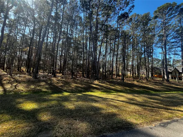 a view of outdoor space with trees