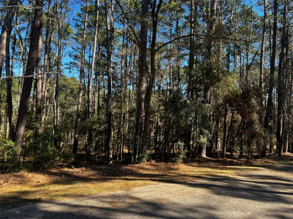 a view of street along with trees