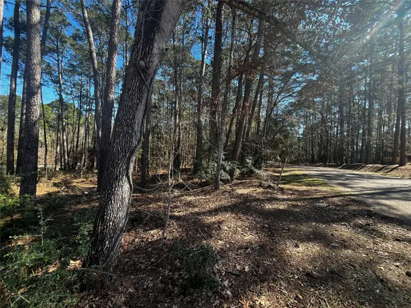 a view of outdoor space with trees
