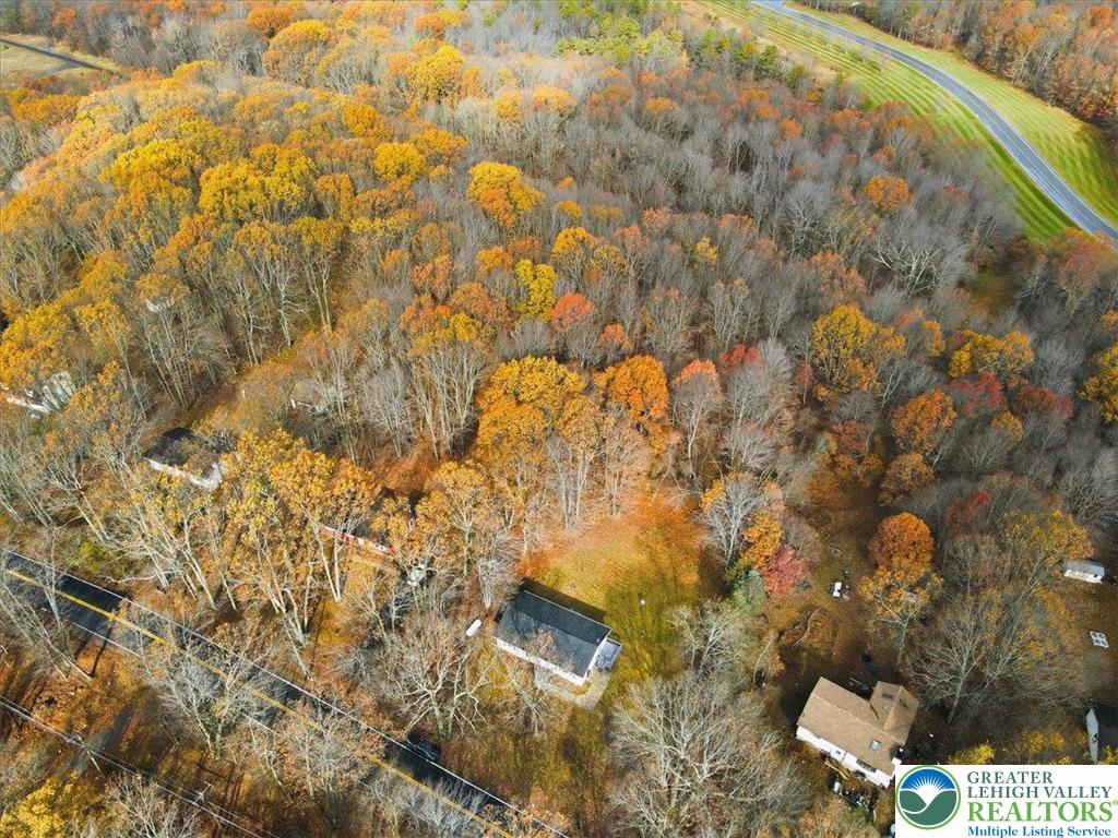 395 Sullivan Trail Long Pond, PA 18334 - Photo 44 of 50