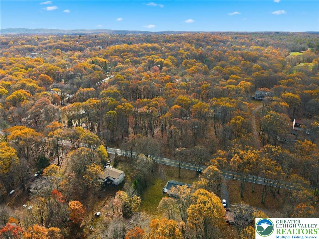 395 Sullivan Trail Long Pond, PA 18334 - Photo 48 of 50