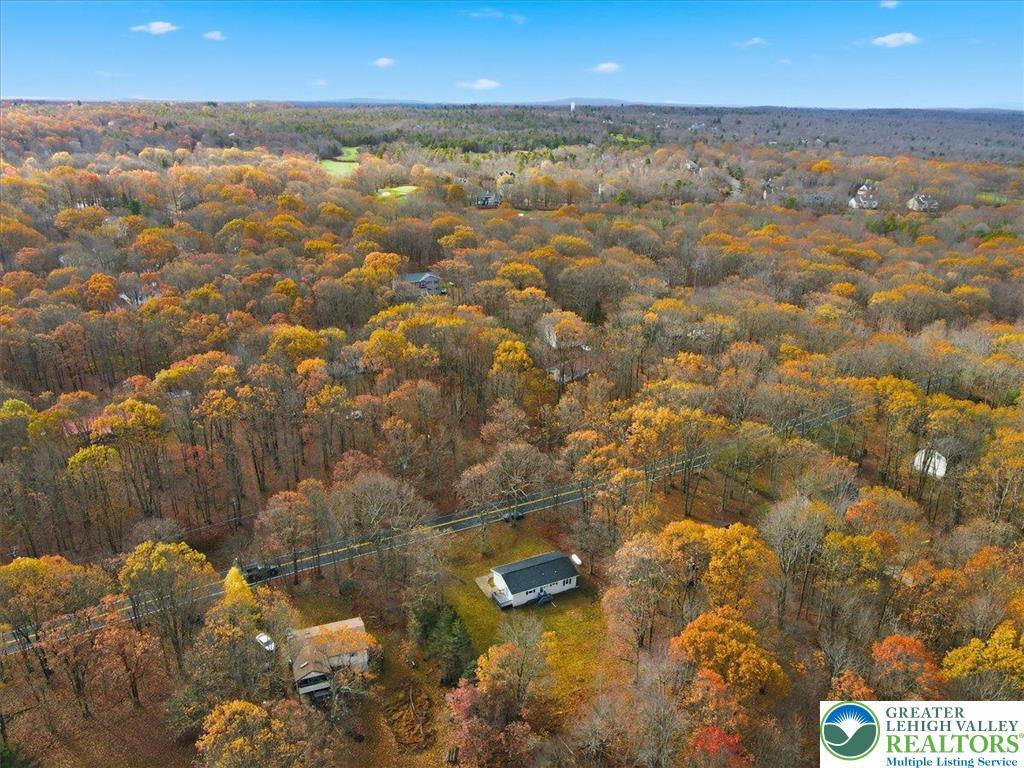 395 Sullivan Trail Long Pond, PA 18334 - Photo 49 of 50