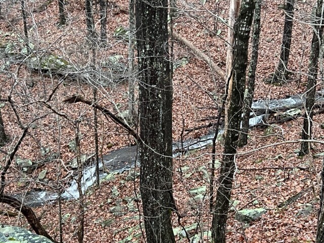 0 Claiborne View Road Sewanee, TN 37375 - Photo 15 of 16