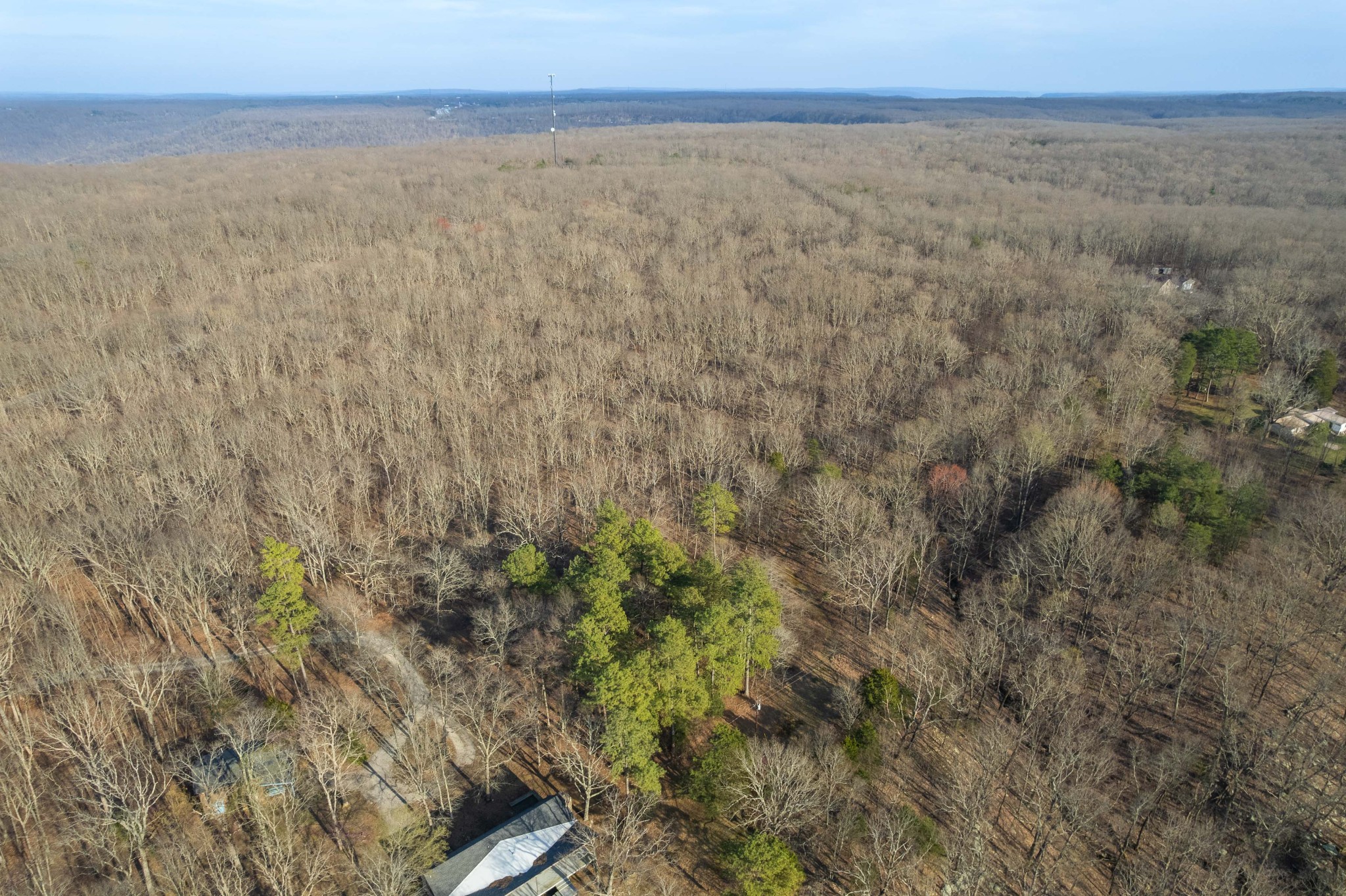 0 Claiborne View Road Sewanee, TN 37375 - Photo 3 of 16