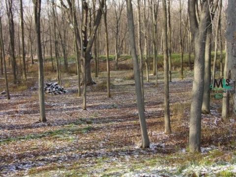 12874 Yale Road Yale, MI 48097 - Photo 12 of 12 594217-11.JPG