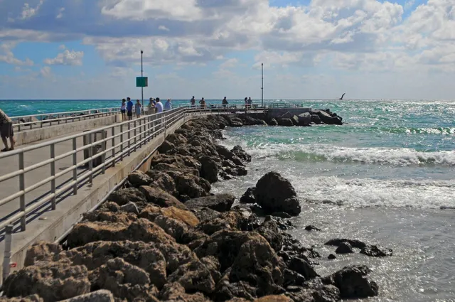 a view of a patio with table and chairs and potted plants