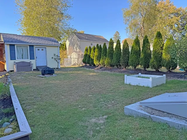 a view of a house with backyard and a tree