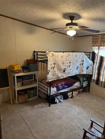 $230,000 | 3811 State Rte 137, Elk Creek, MO 65464