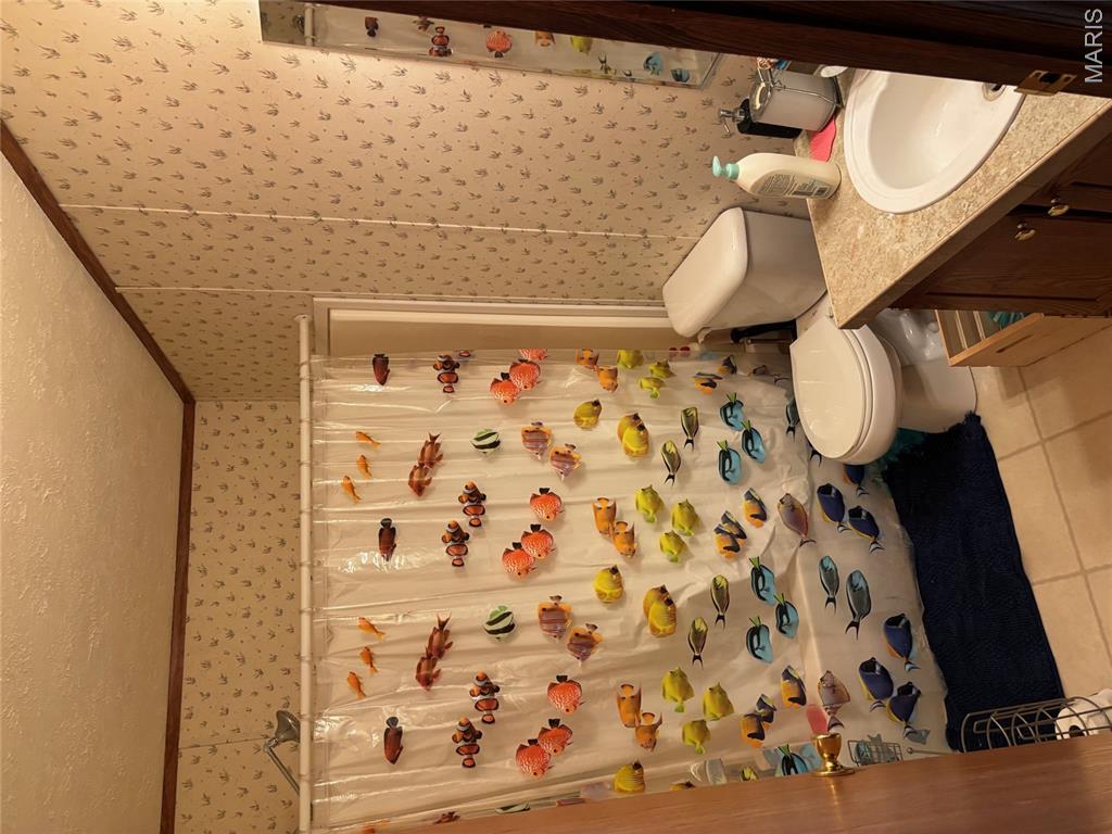 3811 State Rte 137 Elk Creek, MO 65464 - Photo 12 of 19