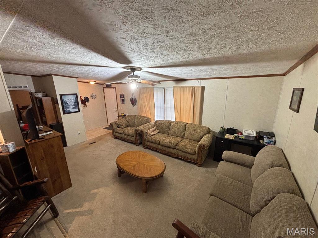 3811 State Rte 137 Elk Creek, MO 65464 - Photo 6 of 19