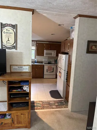 $230,000 | 3811 State Rte 137, Elk Creek, MO 65464