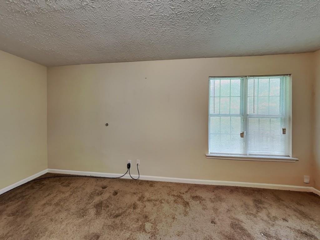 1278 Lynx Court Hampton, GA 30228 - Photo 11 of 14