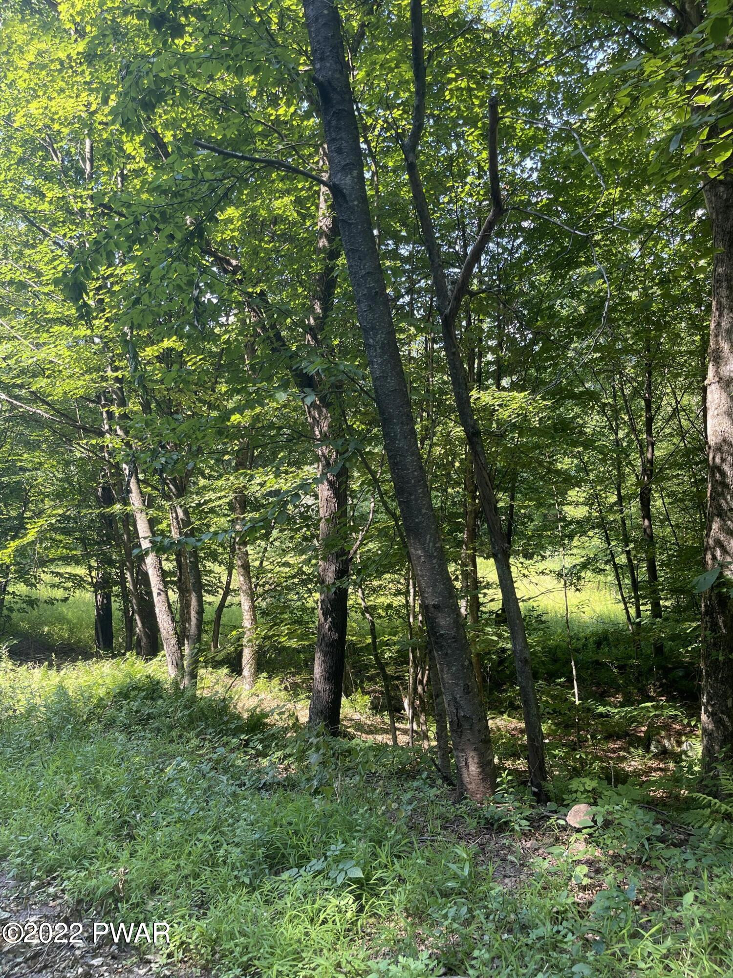 203 Beech Road Equinunk, PA 18417 - Photo 13 of 16
