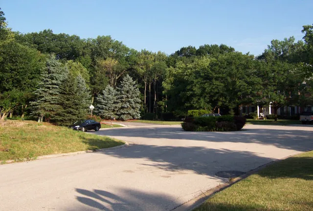 $218,000 | 17220-oak Meadow #5 Oak Meadow Court, Homer Glen, IL 60491