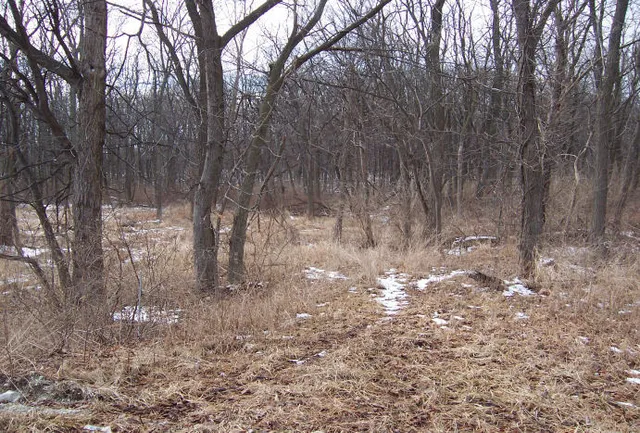 $218,000 | 17220-oak Meadow #5 Oak Meadow Court, Homer Glen, IL 60491