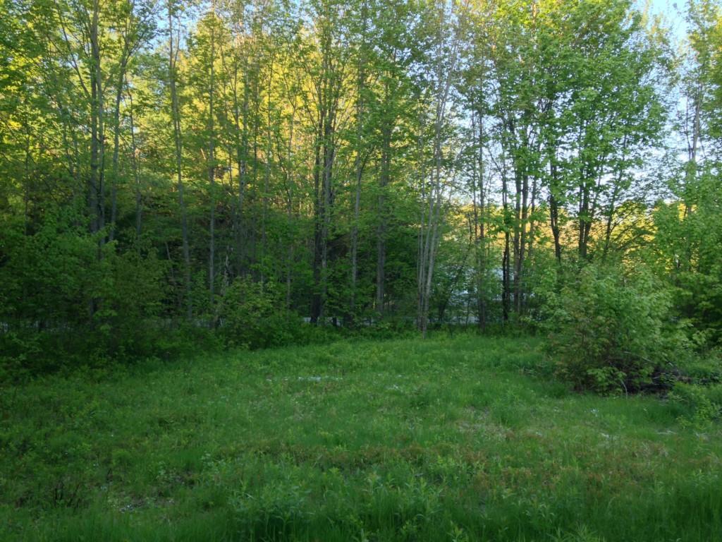 620 Edinburg Road Howland, ME 04448 - Photo 9 of 9 Maine Land for Sale