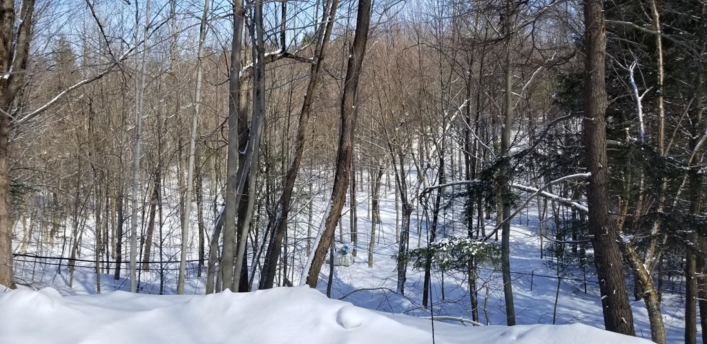 11 State Route Burke, NY 12917 - Photo 37 of 50