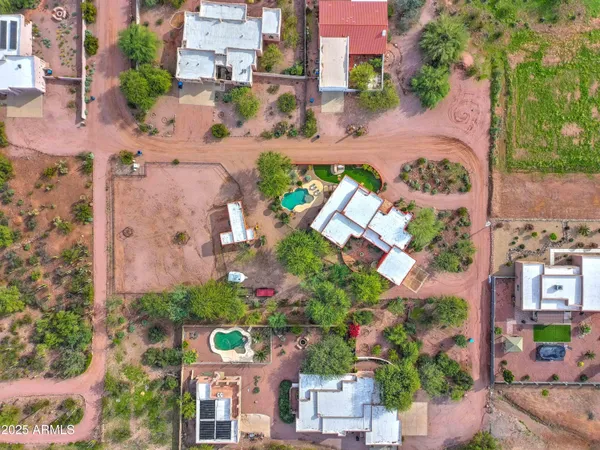 a view of a yard with plants and trees