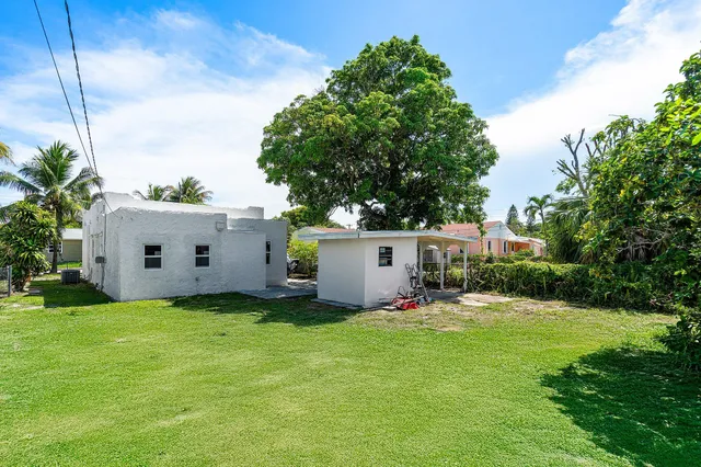a view of a backyard with plants and a tree