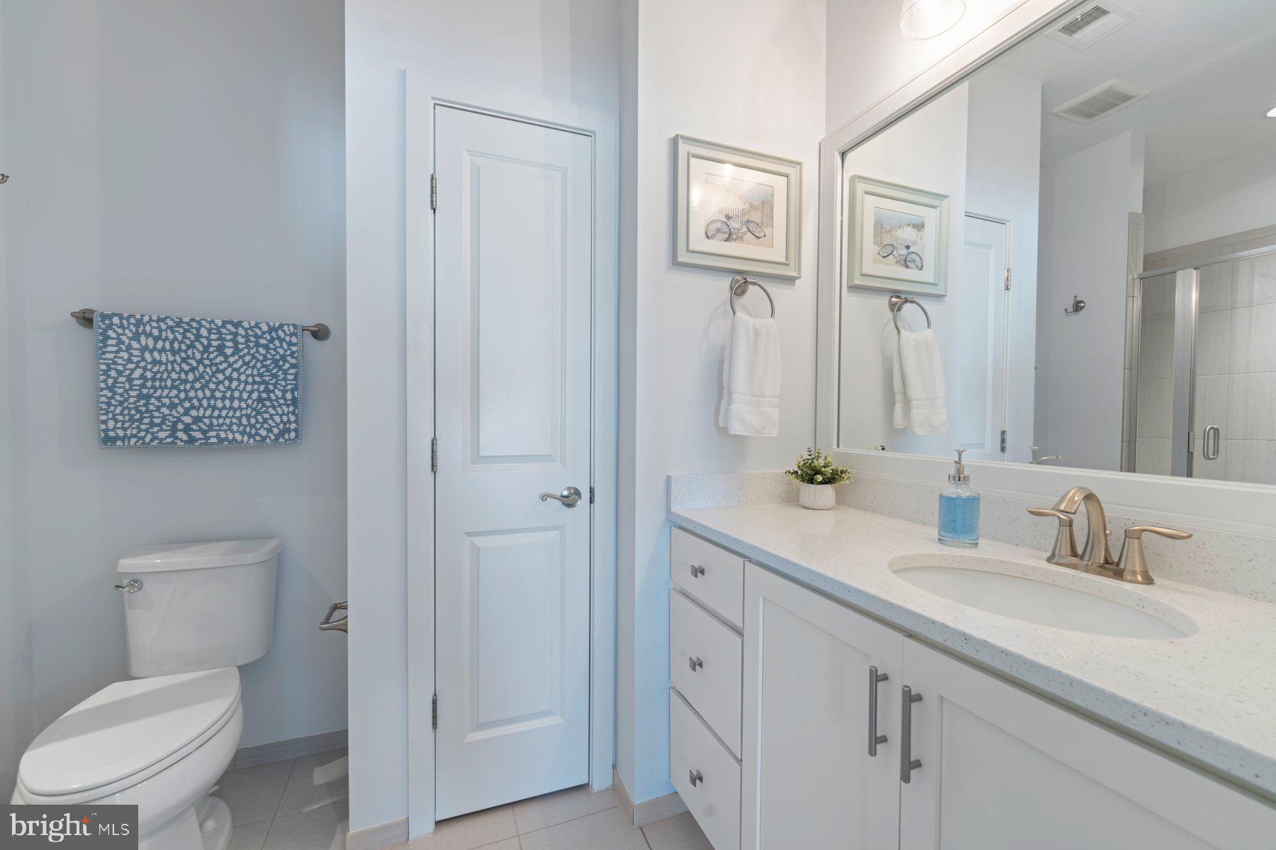 3050 Spring Peeper Court Odenton, MD 21113 - Photo 15 of 40 Primary Bathroom