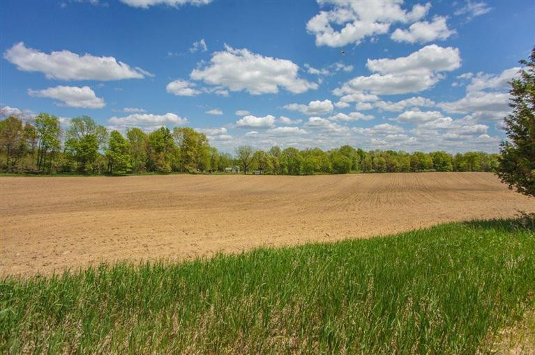 7940 Moeckel Road Grass Lake, MI 49240 - Photo 26 of 35 Photo 26