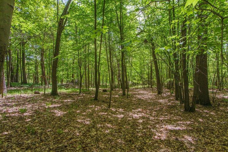 7940 Moeckel Road Grass Lake, MI 49240 - Photo 27 of 35 Photo 27